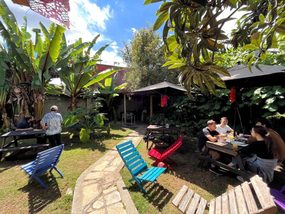 The Coffee Bean Hostel San Cristóbal de Las Casas Exterior foto